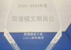 宗保公司1個(gè)項目隊和2名員工受到浦東新區周浦鎮總工會(huì )表彰